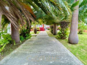 for-rent-apartment-Jan-Sofat-Curaçao-outside