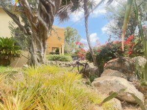 beautiful-Spanish-hacienda-style-villa-with-tropical-luxury-and-pool-in-Villapark-Zuurzak-for-sale