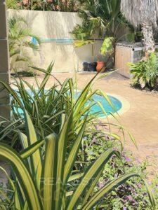 beautiful-Spanish-hacienda-style-villa-with-tropical-luxury-and-pool-in-Villapark-Zuurzak-for-sale