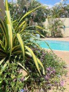 beautiful-Spanish-hacienda-style-villa-with-tropical-luxury-and-pool-in-Villapark-Zuurzak-for-sale